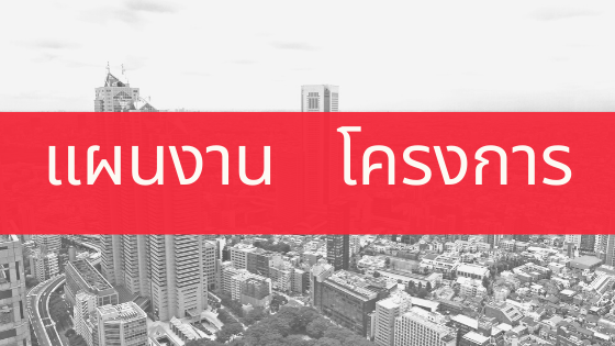 แผนงาน/โครงการ 